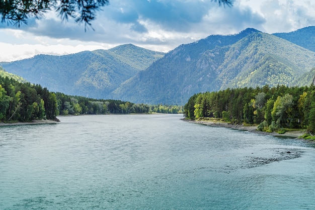 Vista del fiume Katun dal ponte di osservazione