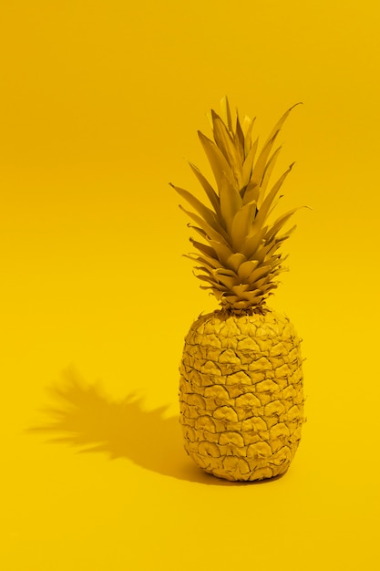 Vista del frutto dell'ananas con spazio di copia