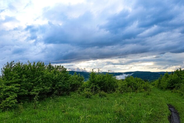 Vista del ghiacciaio vicino all'altopiano LagoNaki ad Adygea Le montagne del Caucaso Russia 2021