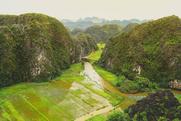 Vista del giacimento del riso e del fiume in Tam Coc, Tam Coc è la destinazione della provincia di Ninh Binh nel Vietnam