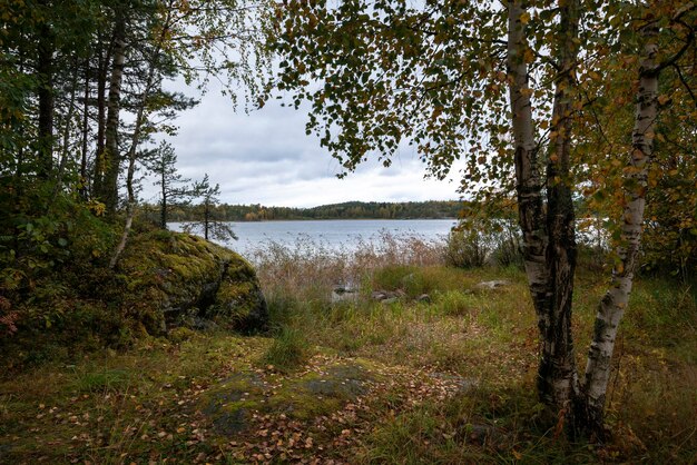 Vista del lago Ladoga vicino al villaggio Lumivaara su una soleggiata giornata autunnale Ladoga skerries Repubblica di Carelia Russia