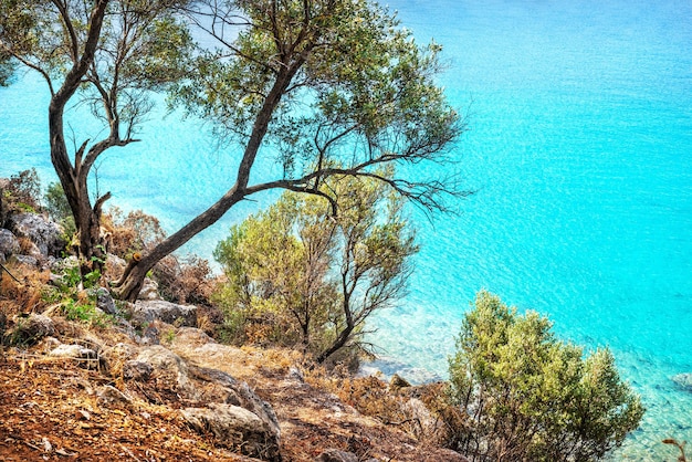 Vista del mare color smeraldo dall'isola di Cleopatra Isola di Sedir Mar Egeo Marmaris Turchia