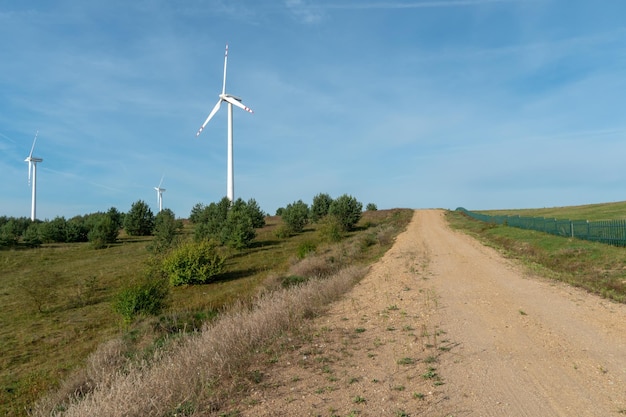 Vista del mulino a vento contro il cielo blu Turbine eoliche in campo o lungo le strade Fonte di energia rinnovabile Utilizzo delle risorse naturali a beneficio dell'umanità