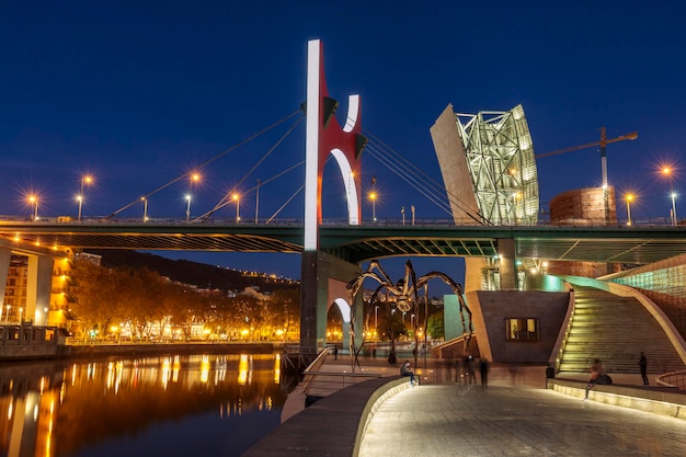 Vista del Museo Guggenheim Bilbao Spagna