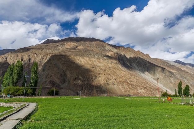 Vista del paesaggio del villaggio di Turtuk un bellissimo piccolo villaggioLehLadakhIndia settentrionale