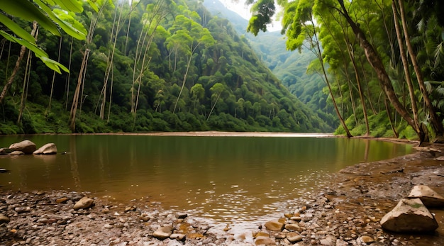 Vista del paesaggio della fotografia naturalistica colombiana