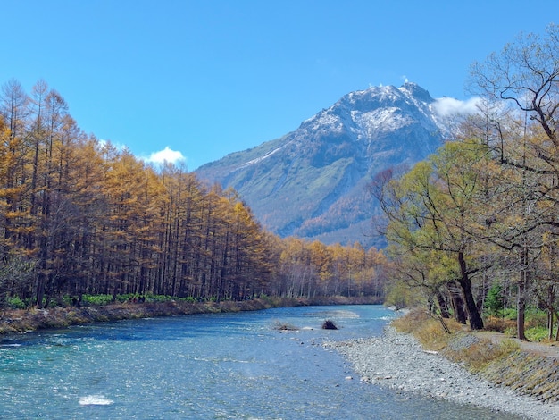 Vista del paesaggio della montagna delle alpi del Giappone con la foresta naturale, fiume blu sulla stagione di autunno.