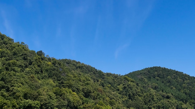 vista del paesaggio delle montagne