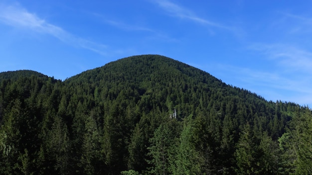 vista del paesaggio delle montagne