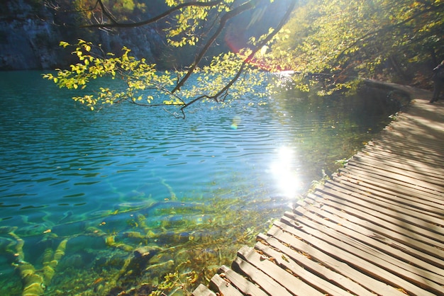 Vista del paesaggio di foglie e lago nella stagione autunnale al Parco Nazionale di Plitvice Jezera in Croazia.