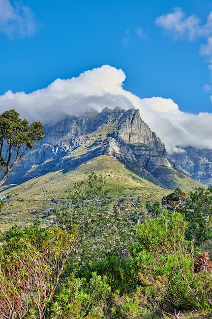 Vista del paesaggio di Table Mountain e dintorni durante il giorno in estate Copia spazio di un popolare punto di riferimento naturale con cespugli e alberi per il turismo Copyspace di un'attrazione turistica a Cape Town