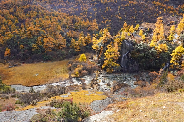 Vista del paesaggio in autunno alla riserva nazionale di Yading