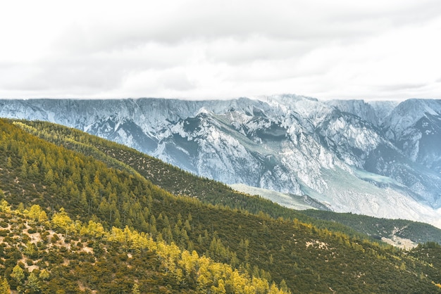 Vista del paesaggio in campagna