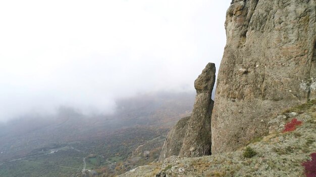 Vista del paesaggio naturale dalla cima della collina sulla valle gialla e verde in una fitta nebbia scattata dall'aria