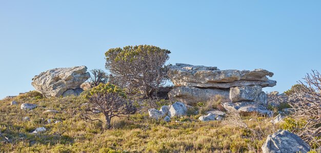 Vista del paesaggio naturale di massi e natura selvaggia Terreno erboso roccioso su una cima di una montagna circondata da un cielo blu chiaro e grande in una giornata di sole Alberi rocce ed erba all'aperto