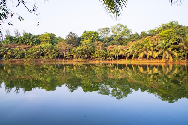 Vista del paesaggio naturale Riflessione di alberi in acqua del lago contro il cielo blu