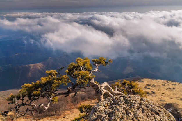 Vista del paesaggio nebbioso con le montagne