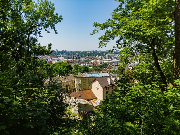 Vista del paesaggio urbano dietro le foglie verdi degli alberi in un giorno d'estate nella città di Lviv, in Ucraina