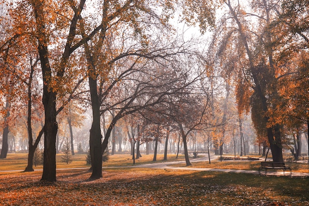 Vista del parco d'autunno