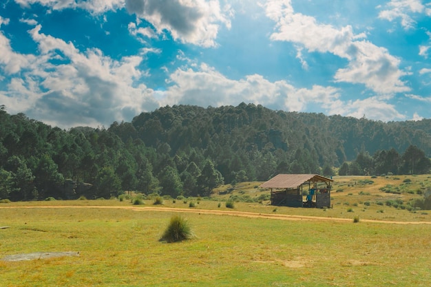 Vista del parco naturale Piedras Encimadas Puebla Messico sullo sfondo una bellissima foresta molto verde