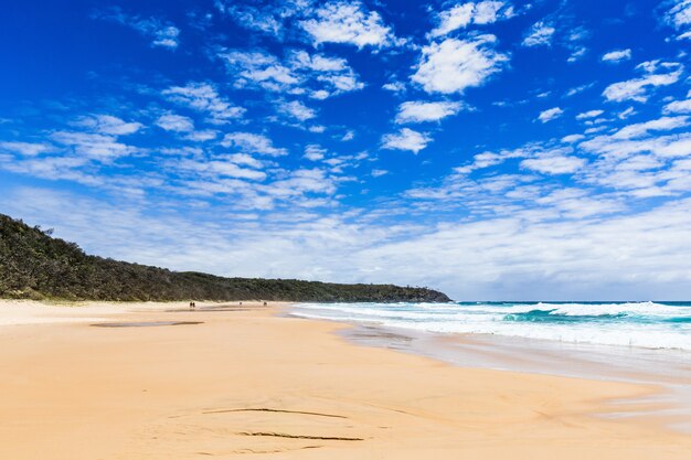 Vista del parco nazionale di Alexandria Noosa Bay nel Queensland, Australia