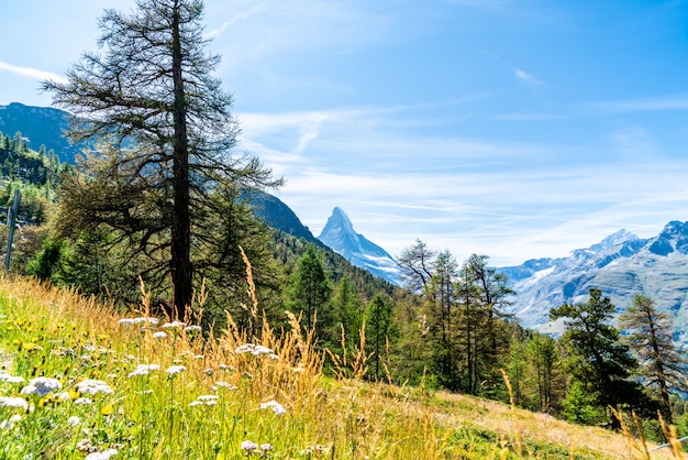 vista del picco del Cervino a Zermatt, in Svizzera.