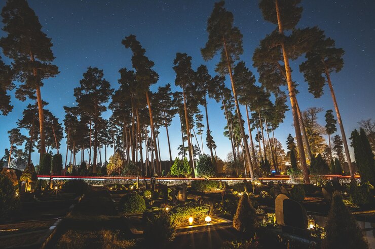 Foto vista del ponte contro gli alberi di notte