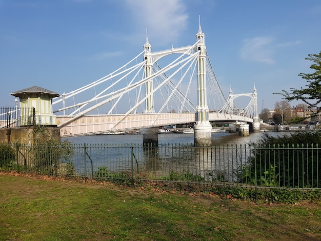 Vista del ponte di Albert, Londra, Inghilterra.