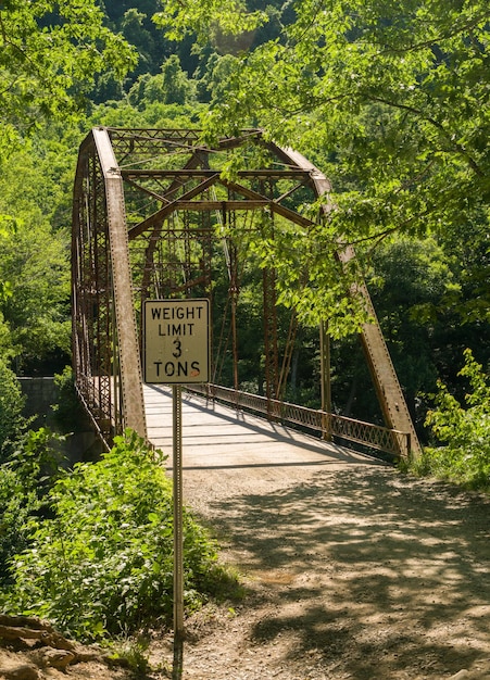 Vista del ponte di Jenkinsburg sul fiume Cheat