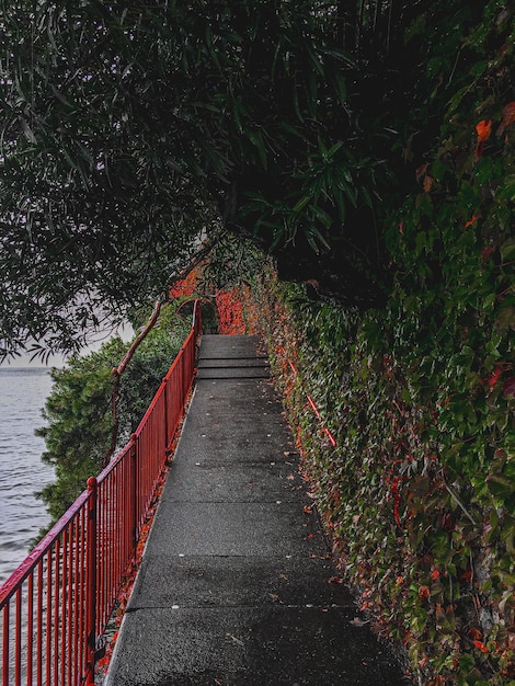 Vista del ponte sul mare calmo