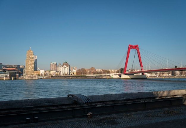 Vista del ponte Willemsbrug e della città di Rotterdam, Paesi Bassi