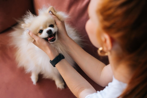 Vista del primo piano dal retro al simpatico cane da compagnia spitz bianco irriconoscibile giovane donna che accarezza la testa