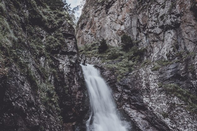 Vista del primo piano delle scene della cascata in montagne, parco nazionale Dombay, Caucaso, Russia, Europa. Paesaggio estivo e giornata di sole