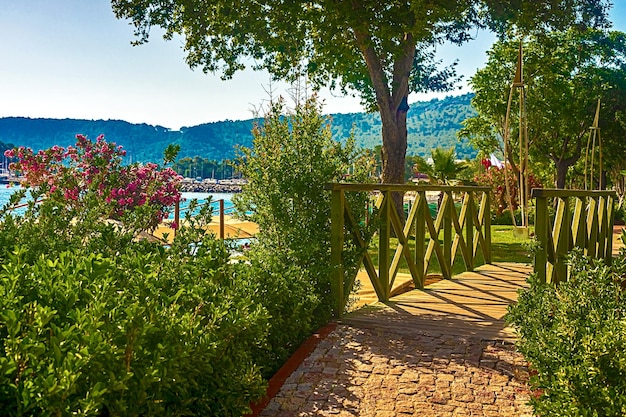 Vista del sentiero e del ponte in un verde giardino con alberi verdi lungo l'argine a Kemer in Turchia