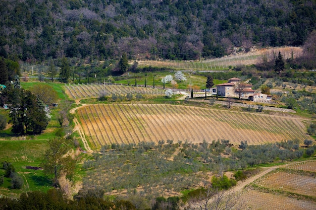 Vista del tipico paesaggio toscano e di una vallata con vigneti, in provincia di Siena. Toscana, Italia