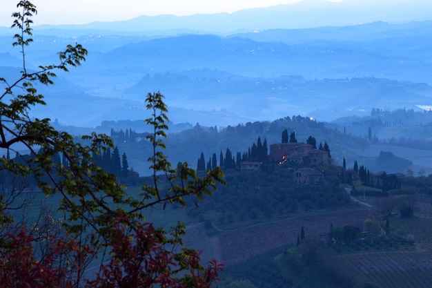 Vista del tipico paesaggio toscano e di una vallata con vigneti, in provincia di Siena. Toscana, Italia