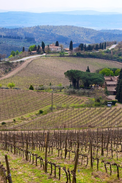 Vista del tipico paesaggio toscano e di una vallata con vigneti, in provincia di Siena. Toscana, Italia