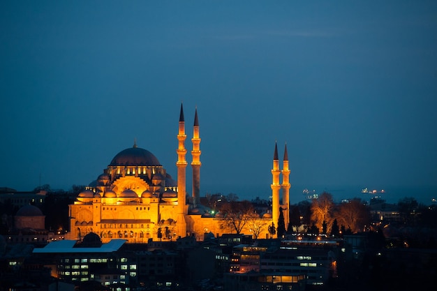 Vista del tramonto a Istanbul dalla Torre di Galata.