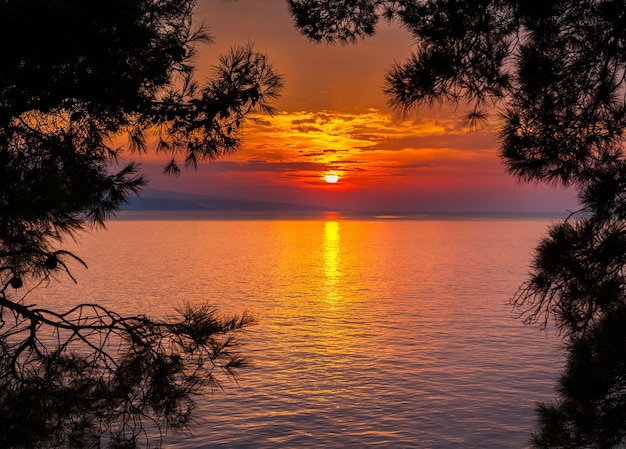 Vista del tramonto attraverso i pini in un piccolo villaggio di Brela, Croazia