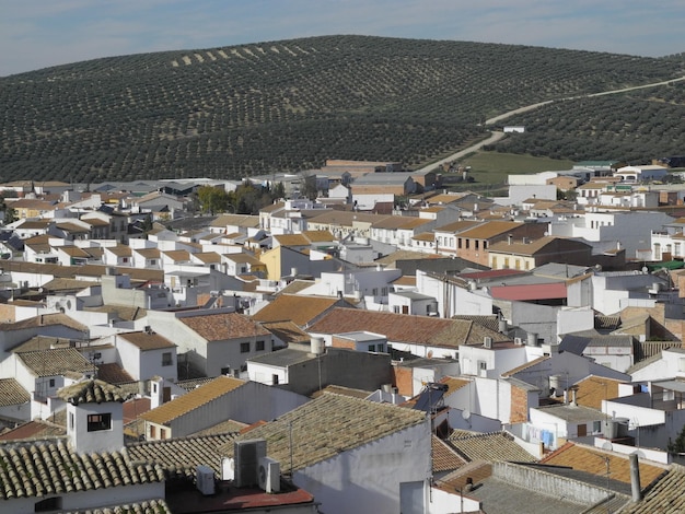 Vista del villaggio di Castro del Rio Andalusia Spagna