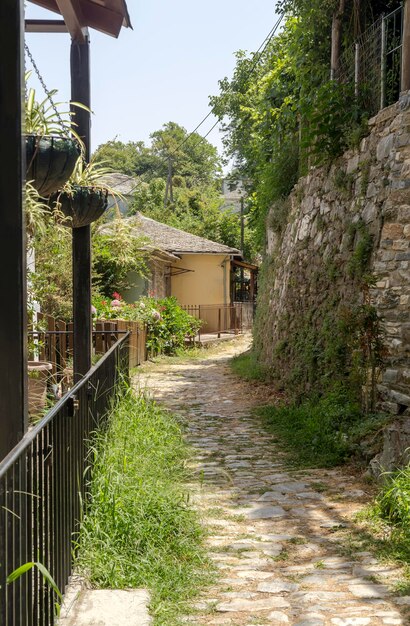 Vista del villaggio di montagna di Tsagarada Pelion Prefettura di Magnesia Grecia