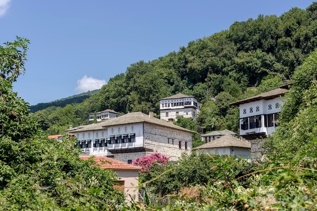 Vista del villaggio di montagna di Vizitsa South Pelion con case tradizionali in una soleggiata giornata estiva Prefettura di Magnesia Grecia