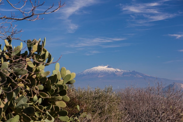 Vista del vulcano Etna da Morgantina In primo piano la pera spinosa