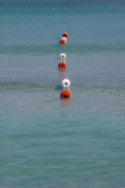 Vista dell'acqua di mare