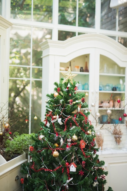 Vista dell'albero di Natale