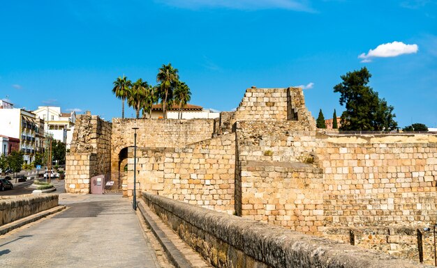 Vista dell'alcazaba di merida in spagna