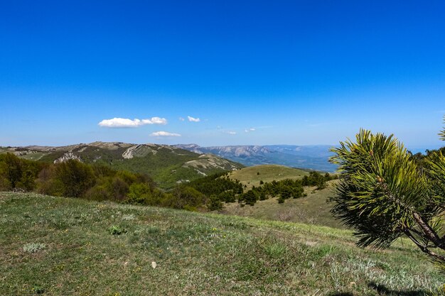 Vista dell'altopiano delle montagne della Crimea dalla cima della catena montuosa Demerdzhi in Crimea Russia