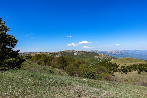 Vista dell'altopiano delle montagne della Crimea dalla cima della catena montuosa Demerdzhi in Crimea Russia