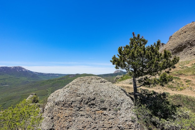 Vista dell'altopiano di ChatyrDag dalla cima della catena montuosa Demerdzhi in Crimea Russia