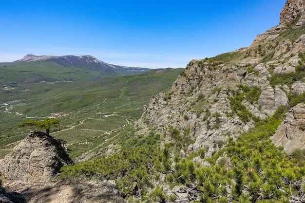 Vista dell'altopiano di ChatyrDag dalla cima della catena montuosa Demerdzhi in Crimea Russia